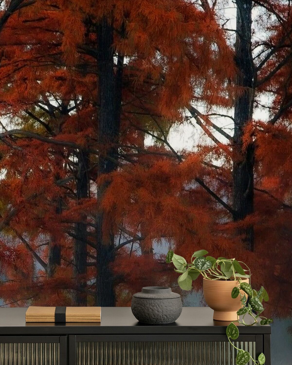 1200x1500 Cypress Trees