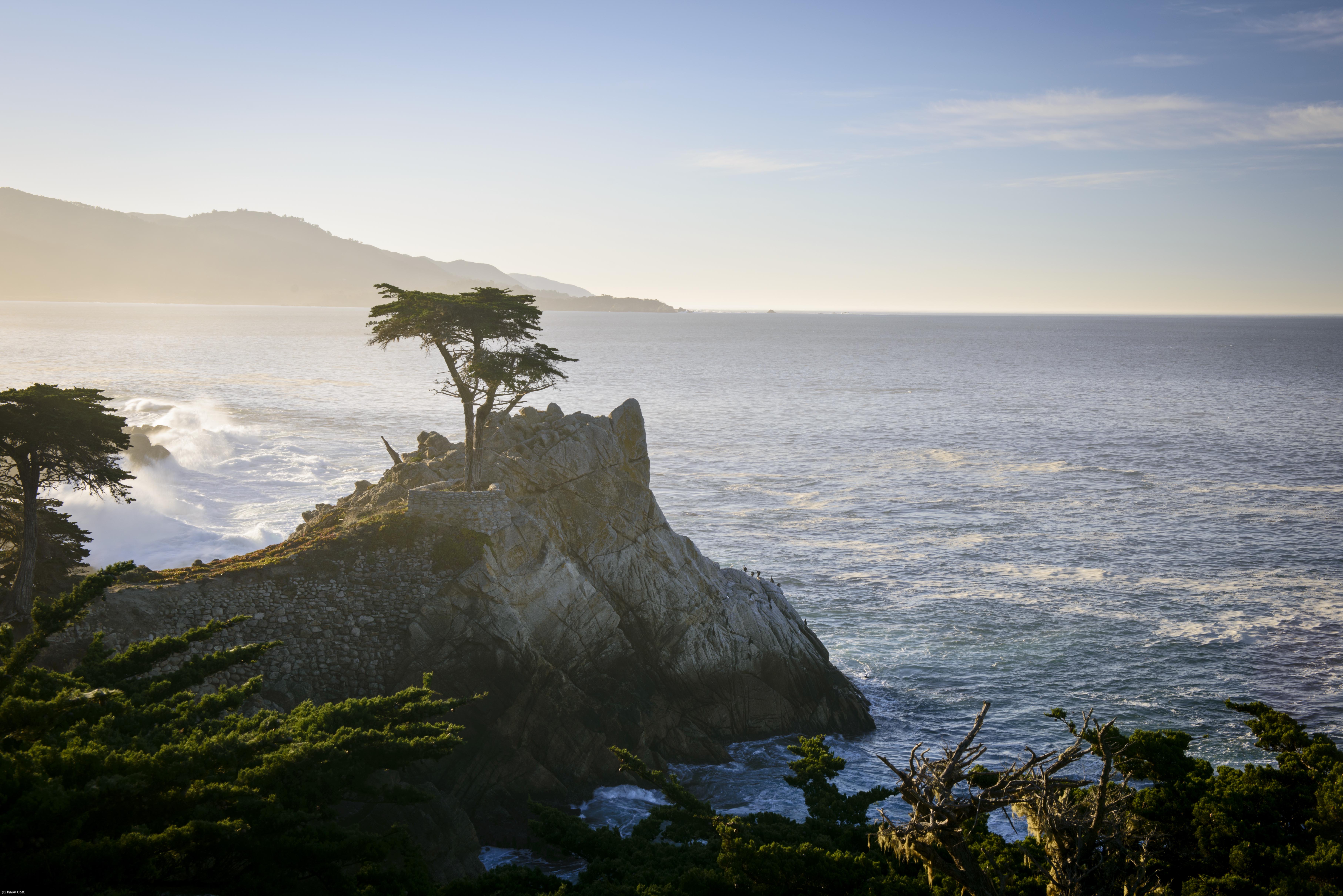 7255x4842 The Lone Cypress Stands Alone