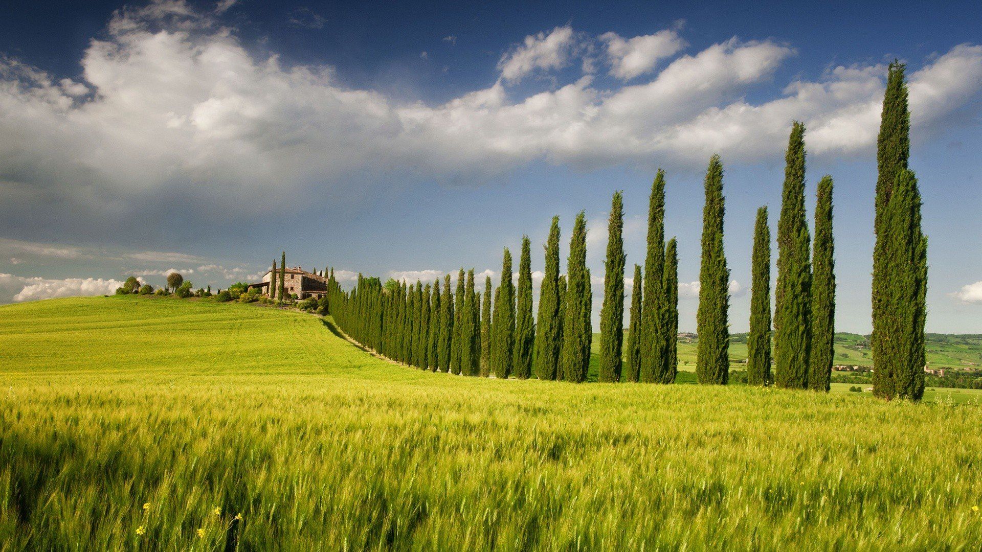 1920x1080 green, Landscapes, Nature, Fields, Spring, Italy, Tree, House, Sky, Campania, Cypress, Tree Wallpaper HD / Desktop and Mobile Background