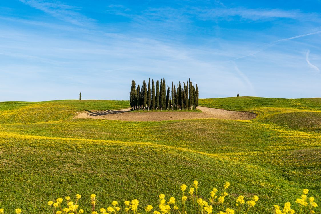 1124x750 Scenic Landscape with Cypress Trees in Tuscany · Free