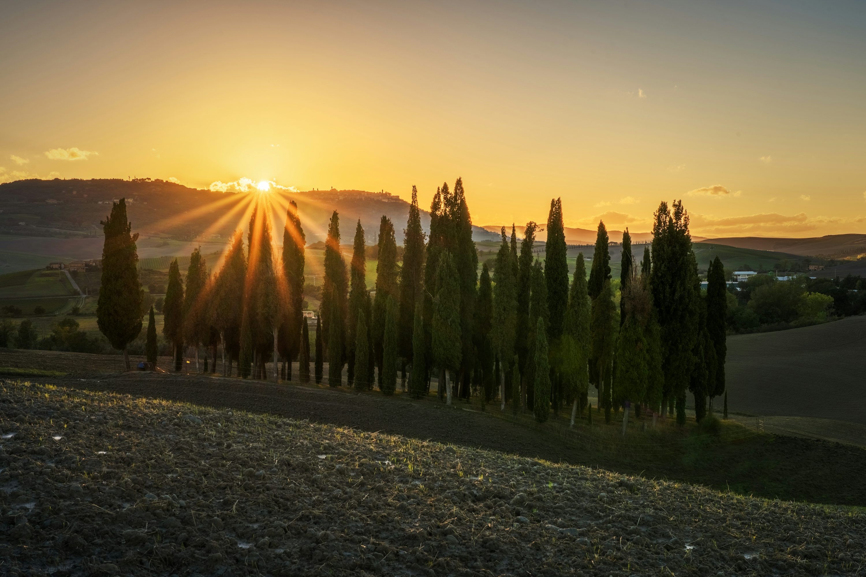 3000x2000 Cypress trees in a tuscan landscape at sunset photo