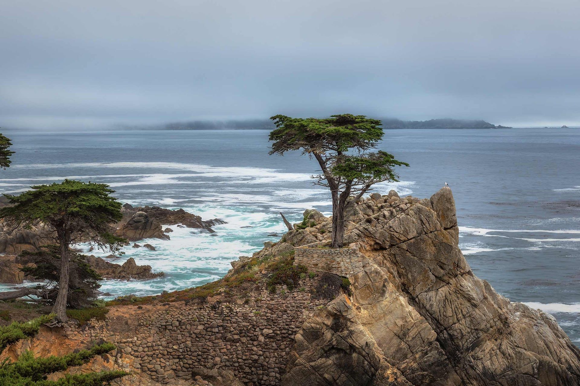 1920x1280 Visiting The Lone Cypress Tree. Brent Goldman Photography