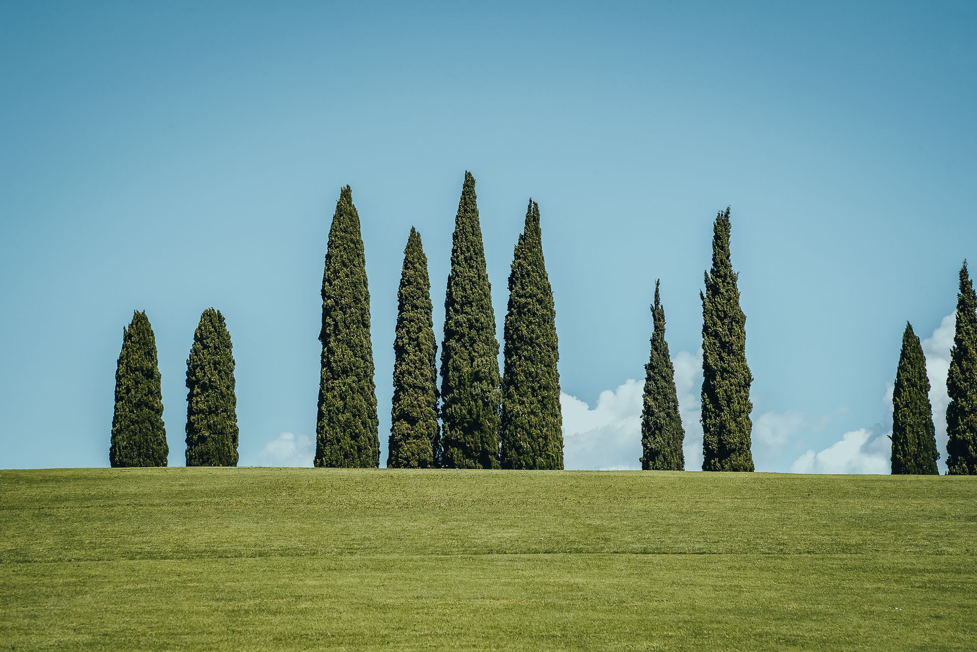1919x1281 Exploring tuscany's landscape: the cypress trees and beyond