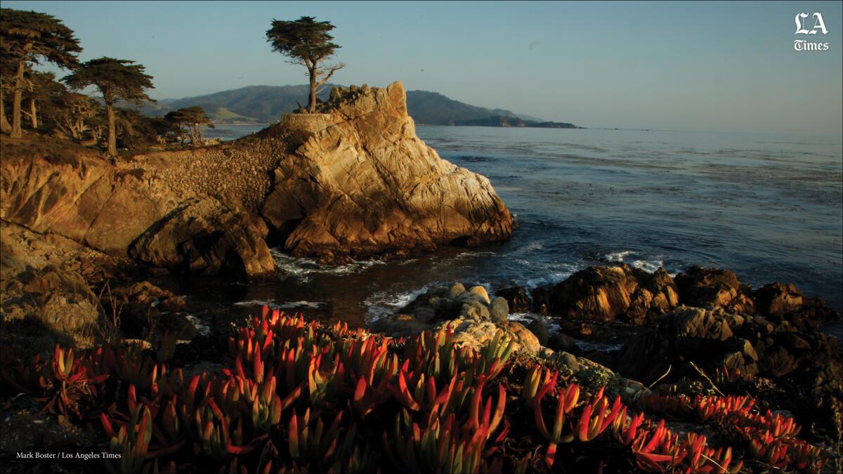 1200x675 Standing before the Lone Cypress Angeles Times