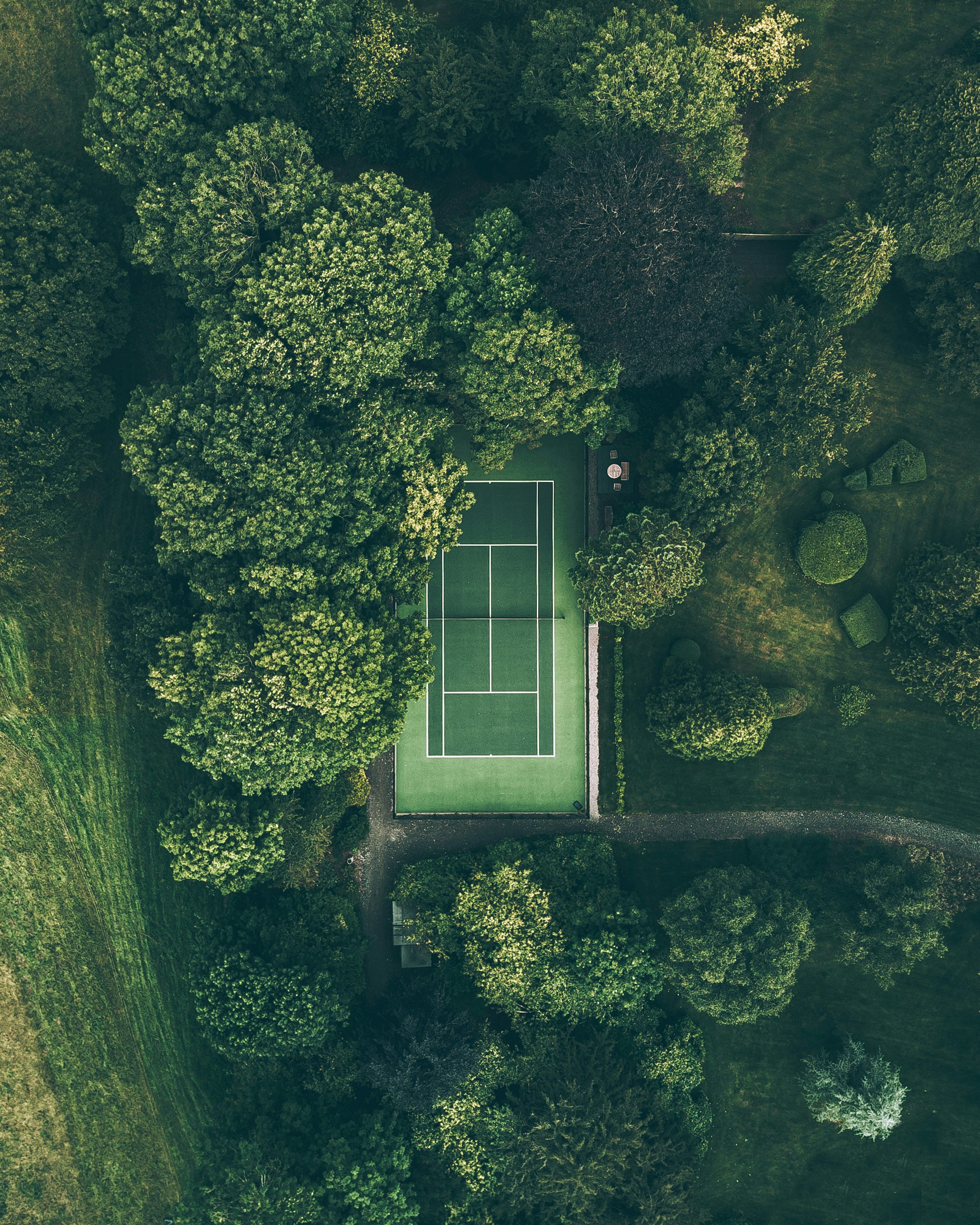 3000x3750 Aerial photo of tennis court surrounded with trees photo
