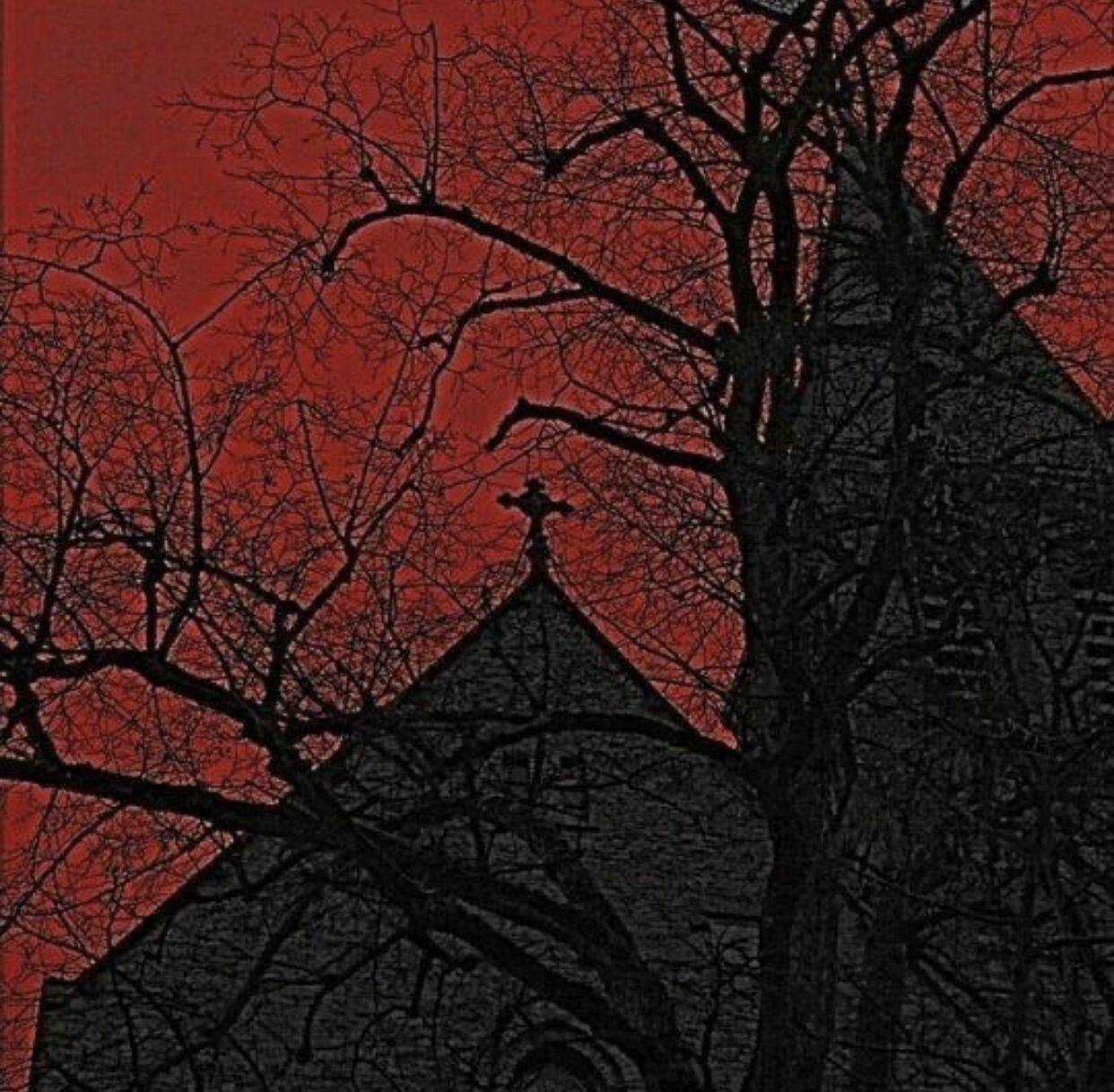 1242x1218 Discover 25 Wallpaper and red and black horror ideas. red snake wallpaper aesthetic, black and red snake aesthetic, snake red aesthetic and more
