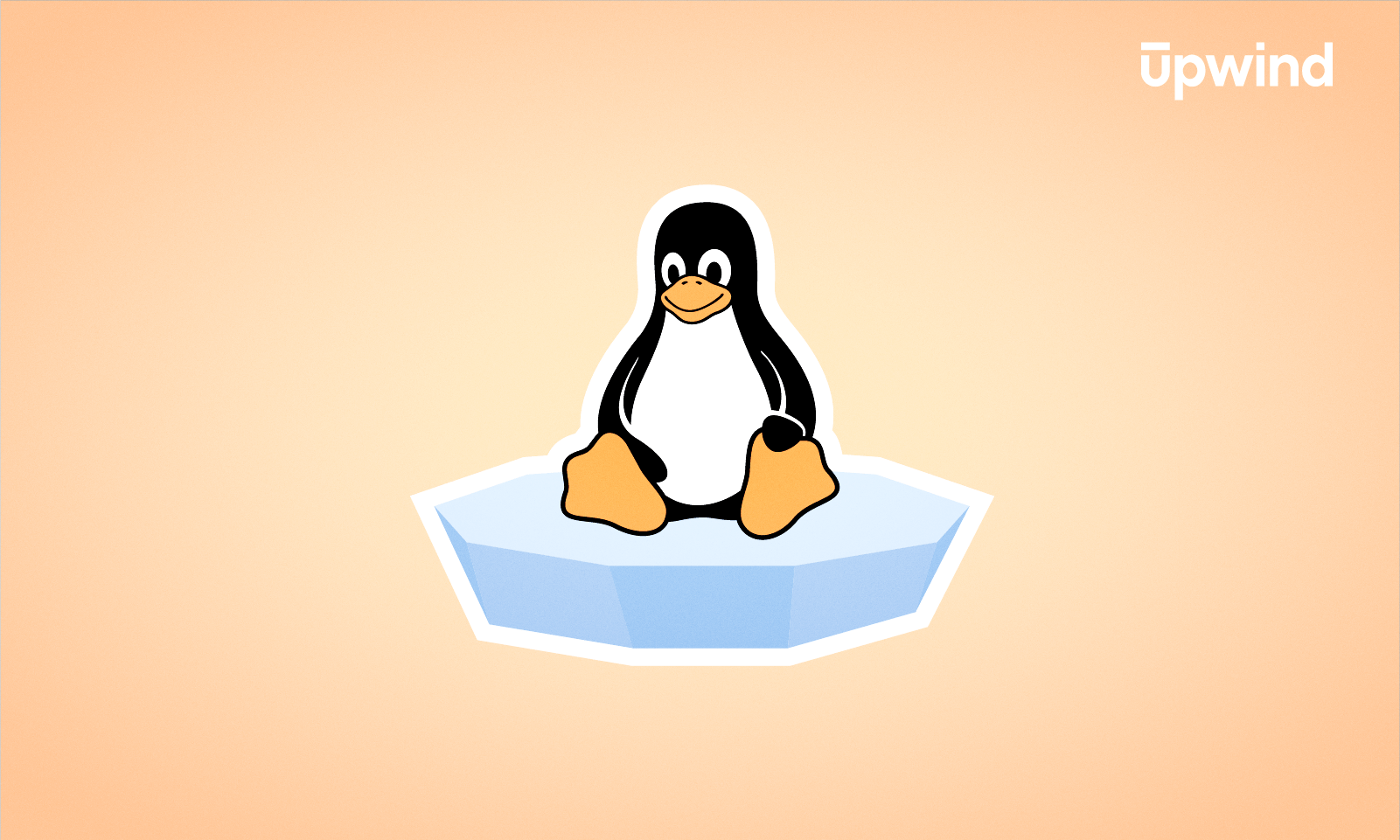 1601x961 What is the Linux Kernel?