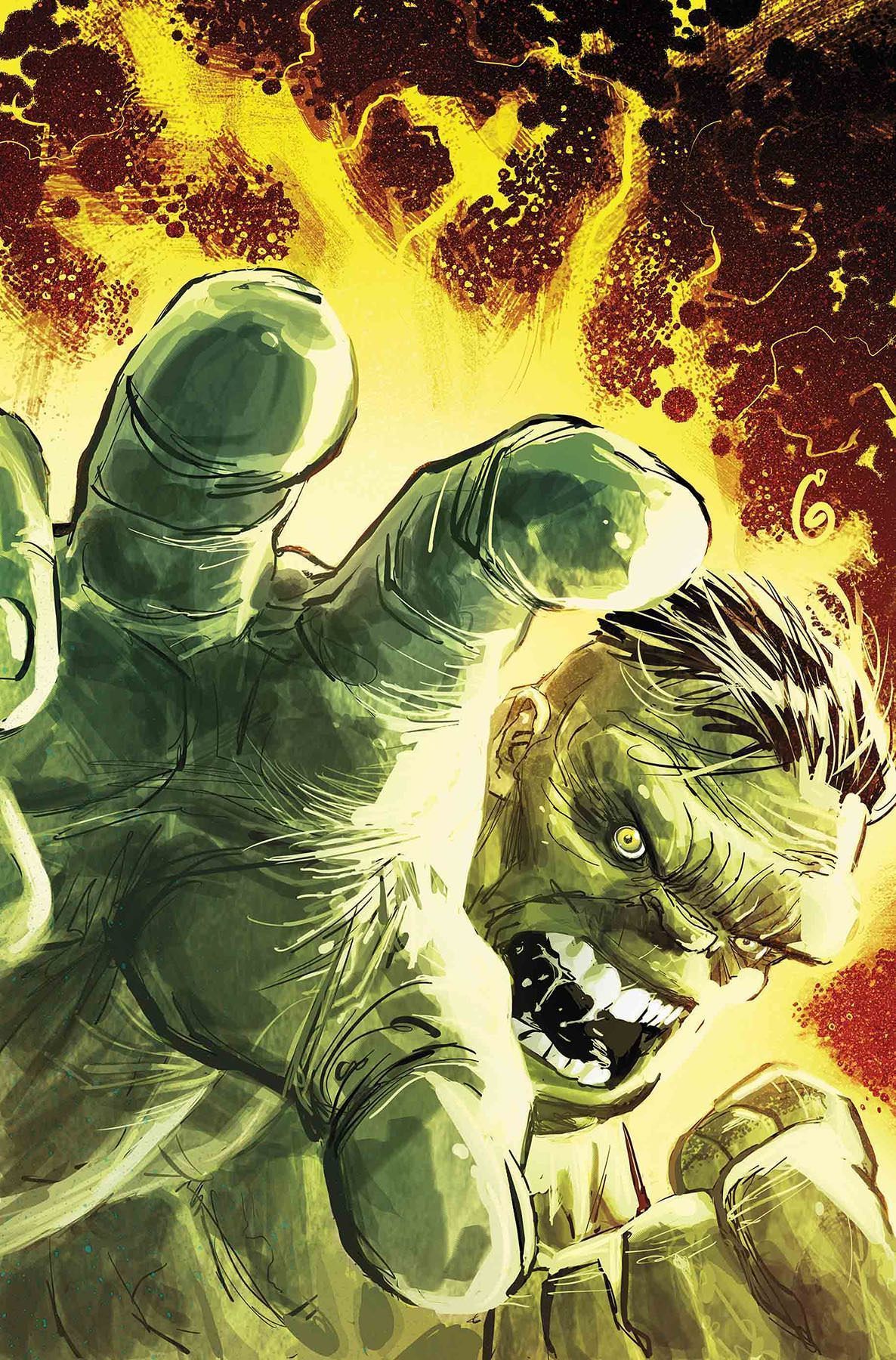 1186x1800 Toba Hulk Wallpaper