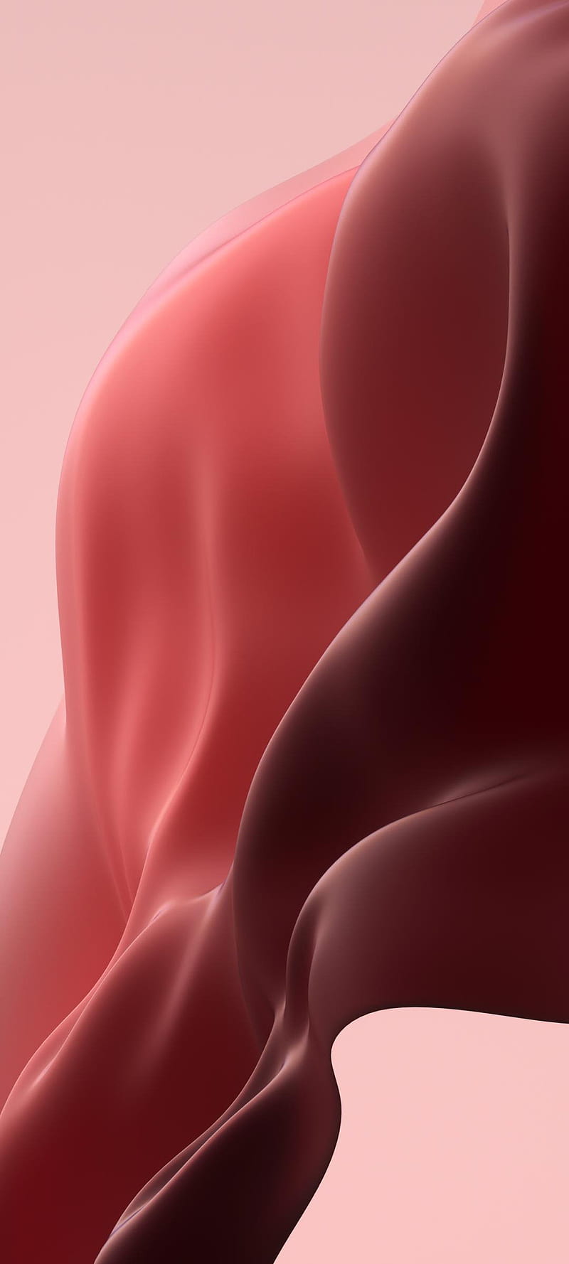 800x1778 Oppo, cool, new, HD phone wallpaper