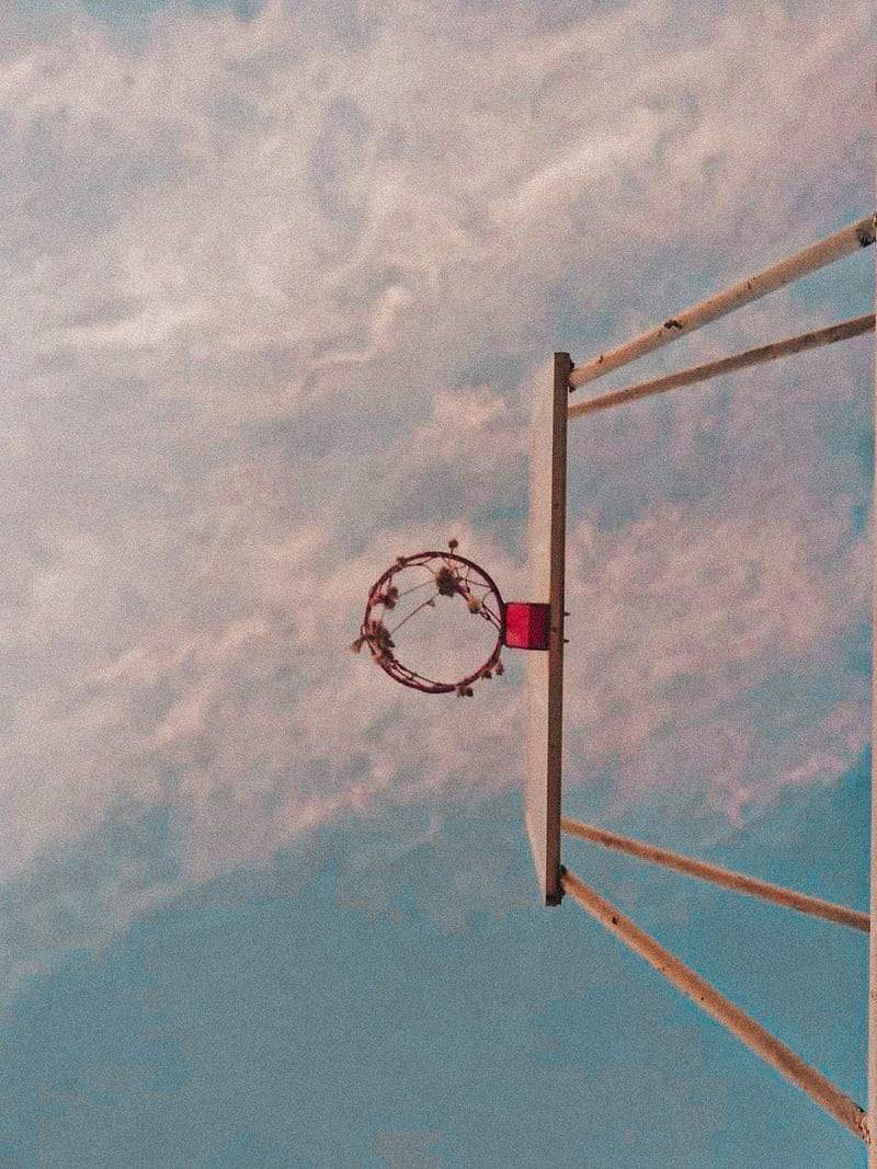800x1067 Basketball, basketall tumblr, sport, HD phone wallpaper