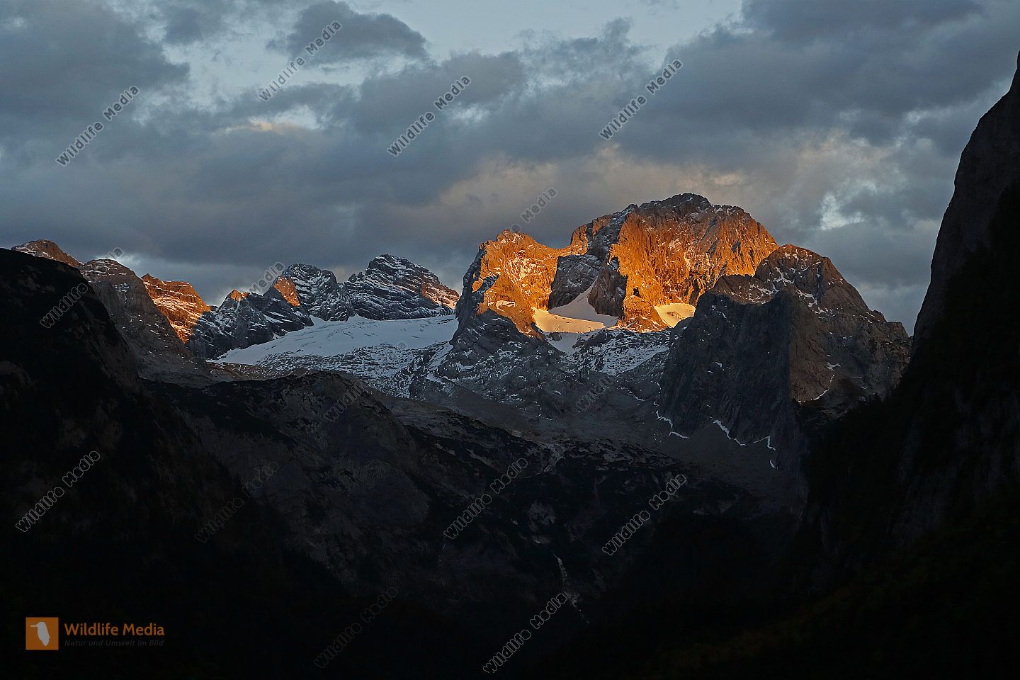 1440x960 Dachstein im Sonnenuntergang Bild bestellen bei Wildlife Media