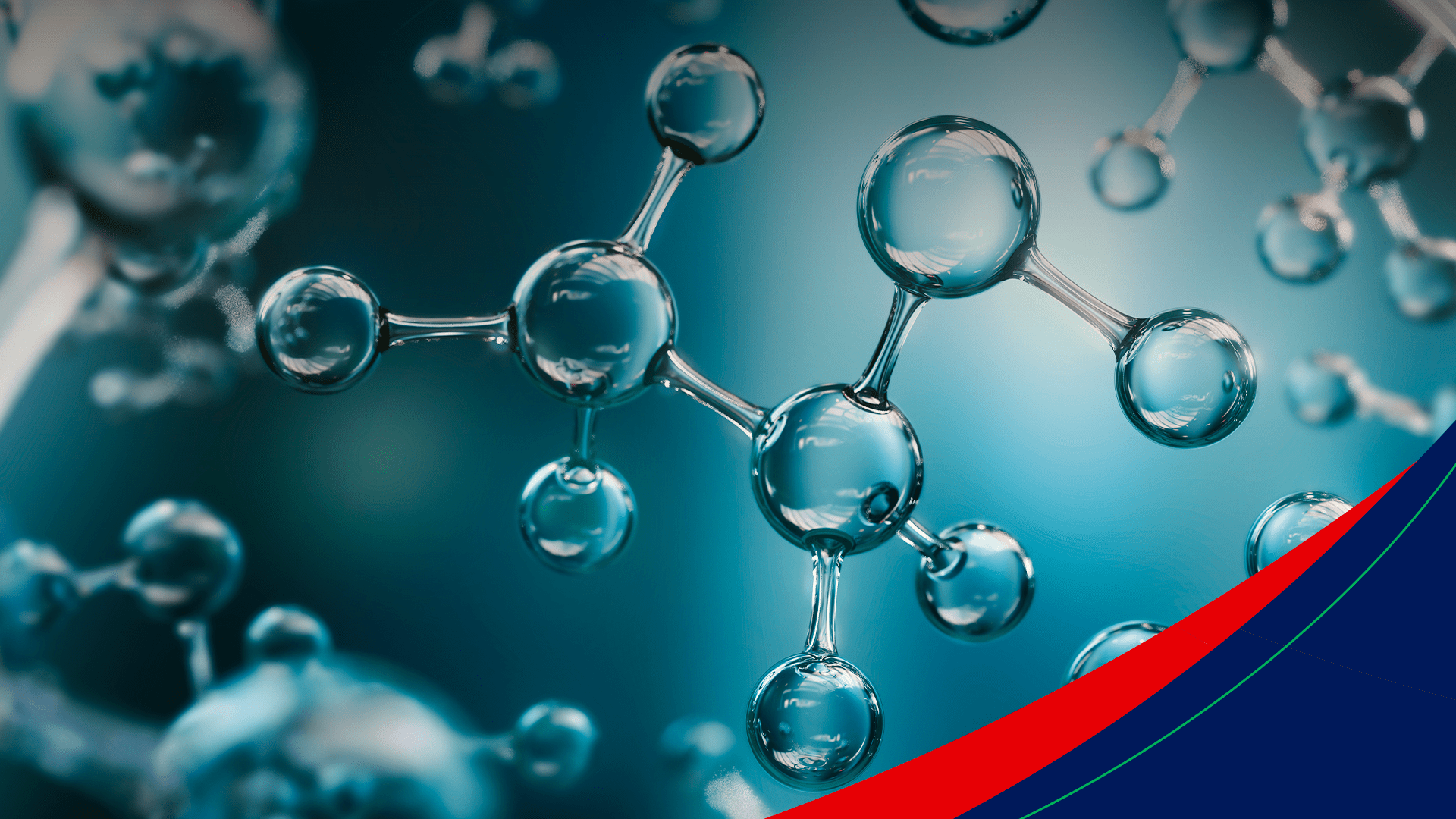 1920x1080 Peptides in animal immunity: benefits and applications