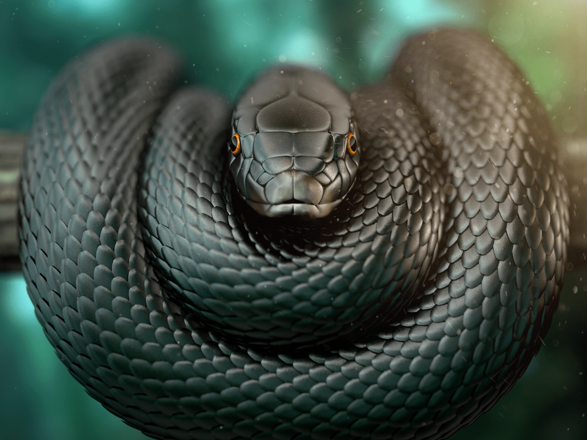 Black Mamba Black snake Mamba animal HD wallpaper  Peakpx