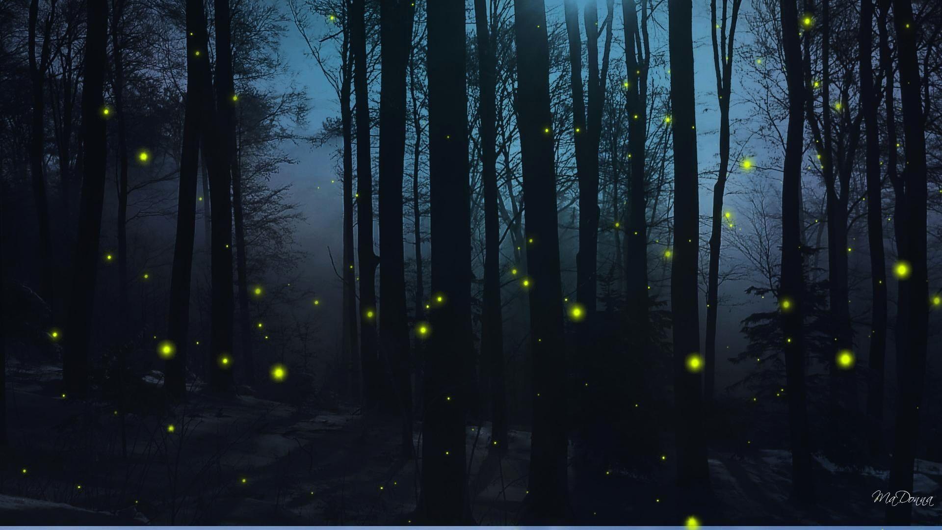 1920x1080 Fireflies Wallpaper Beautiful Fireflies Wallpaper 2019 of The Hudson