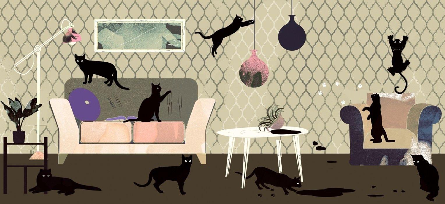 1528x700 The cat's (or dog's) whiskers! Which wallpaper are suitable for pet owners?. Blog