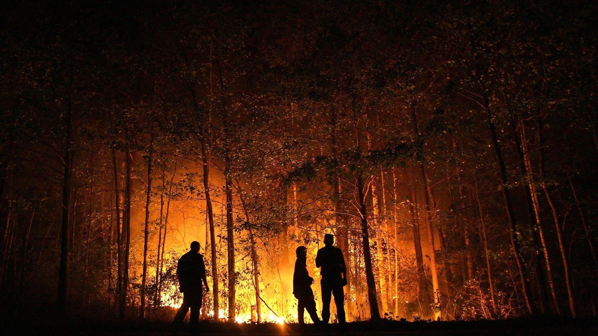 1920x1080 Free download 55 Forest Fire Wallpaper [1920x1080] for your Desktop, Mobile & Tablet. Explore Burning Forest Wallpaper. Burning Forest Wallpaper, Burning Legion Wallpaper, Burning Man Wallpaper