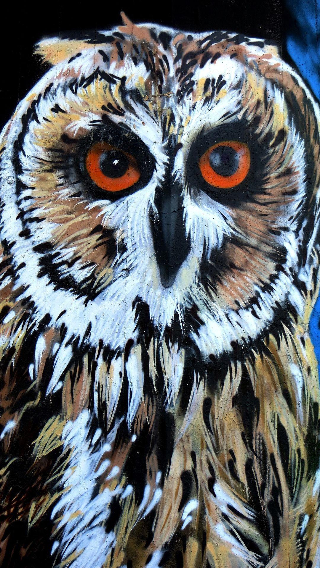 1080x1920 Graffiti Owl Bird Wallpaper