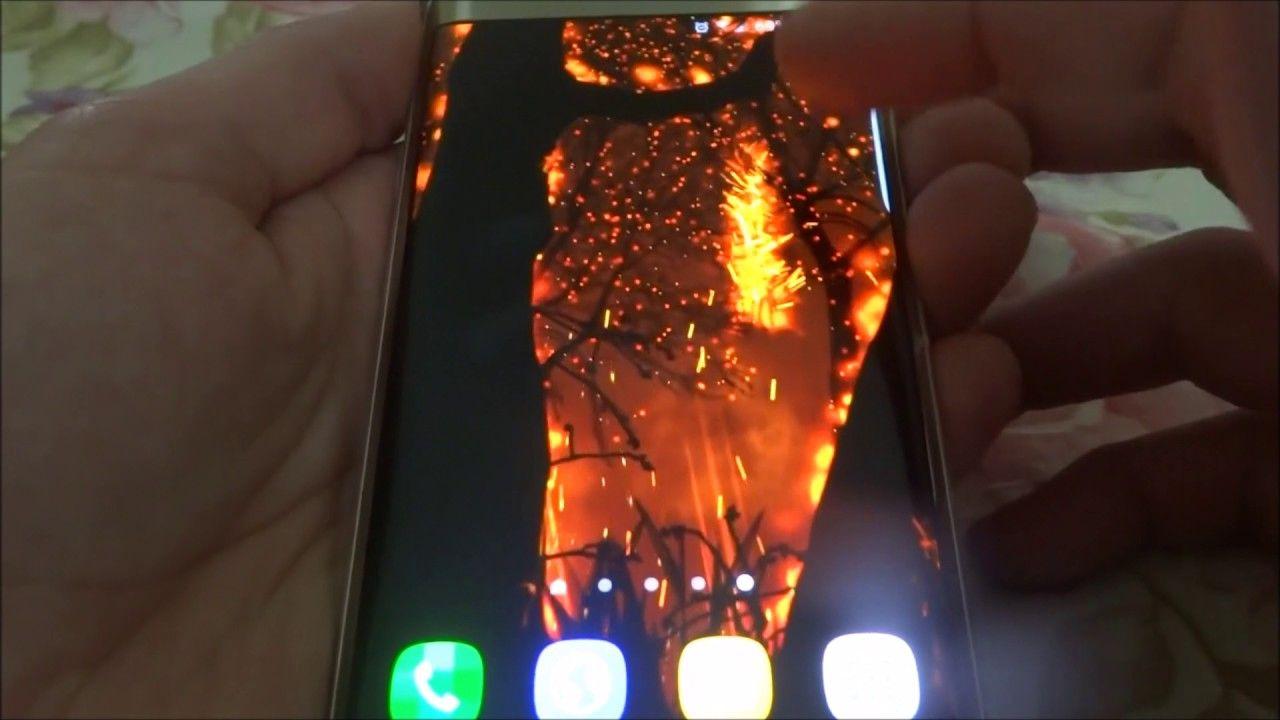 1280x720 Free download Burning Forest Android Live Wallpaper [1280x720] for your Desktop, Mobile & Tablet. Explore Burning Forest Wallpaper. Burning Forest Wallpaper, Burning Legion Wallpaper, Burning Man Wallpaper