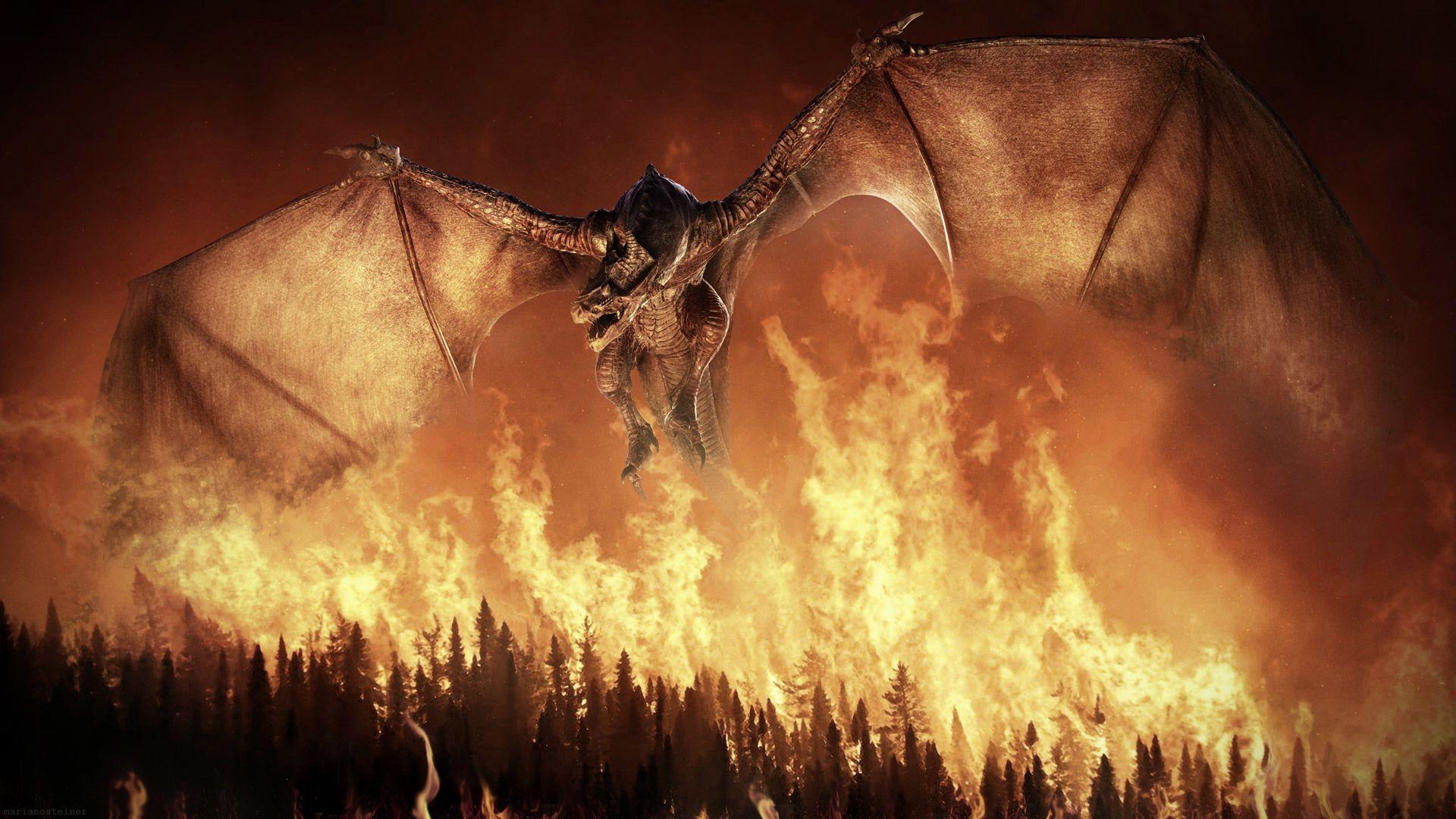 1920x1081 Dragon Fire Wings Flight forest wallpaperx1081