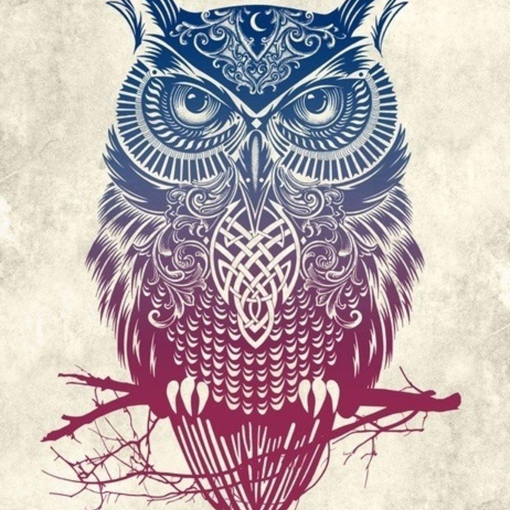 1024x1024 Owl Tumblr Wallpaper, Picture