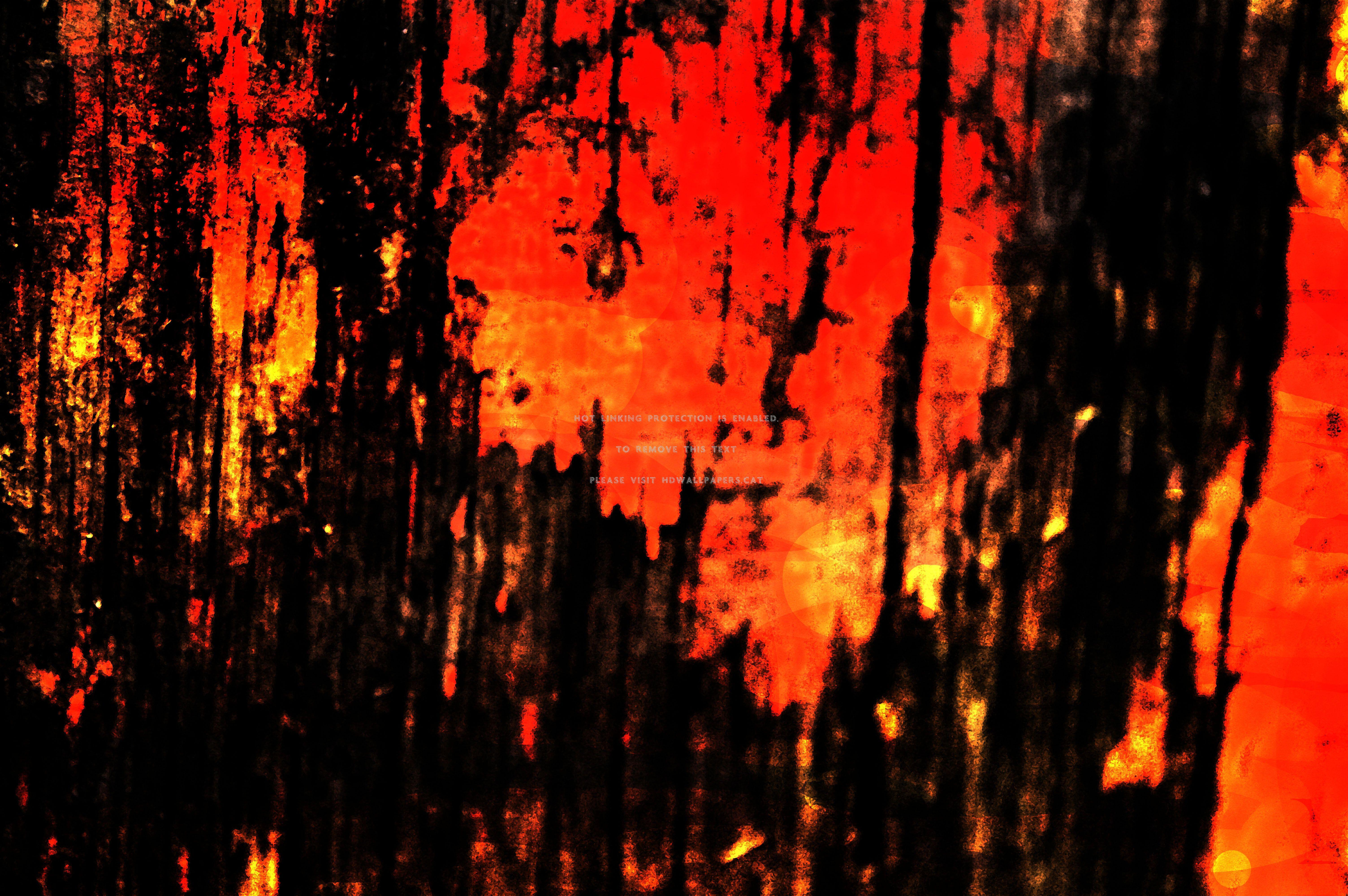 6016x4000 burn abstract forest burning fire