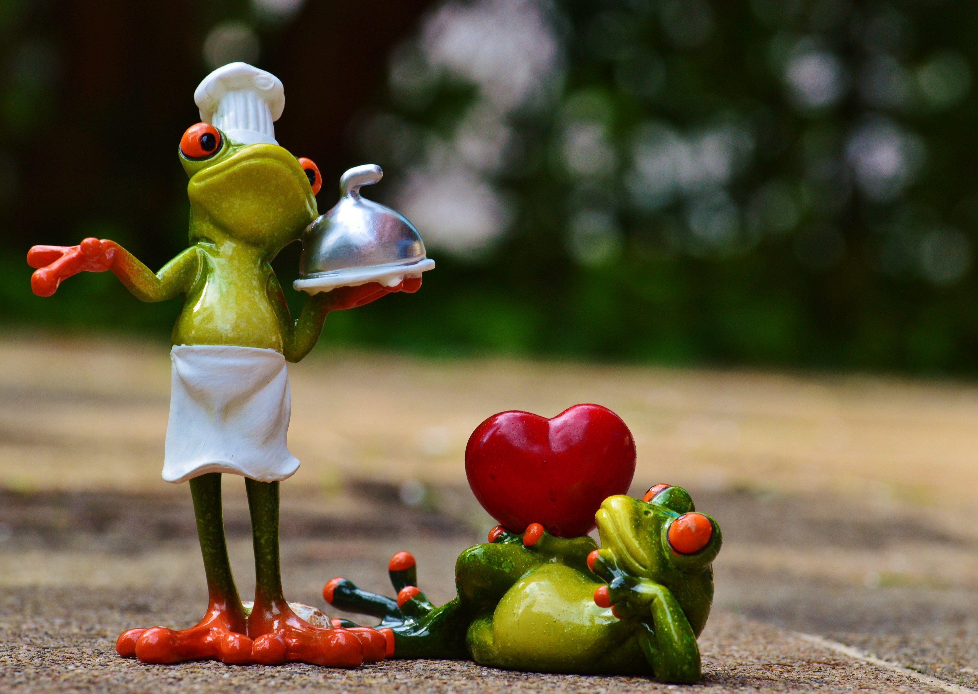 3840x2726 Wallpaper / frog cooking love valentines day eat kitchen 4k wallpaper