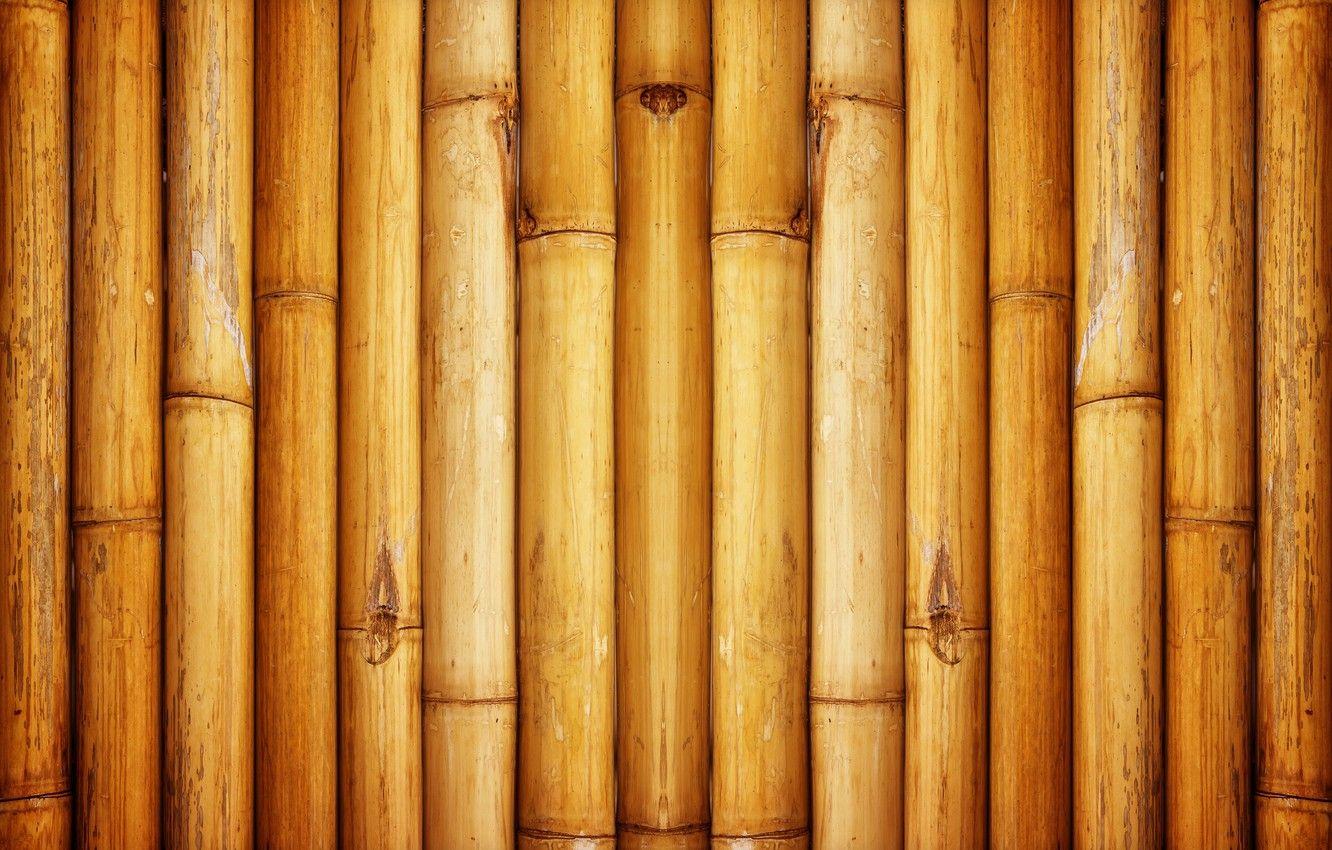 Bamboo Pattern Wallpapers - Top Free Bamboo Pattern Backgrounds -  WallpaperAccess
