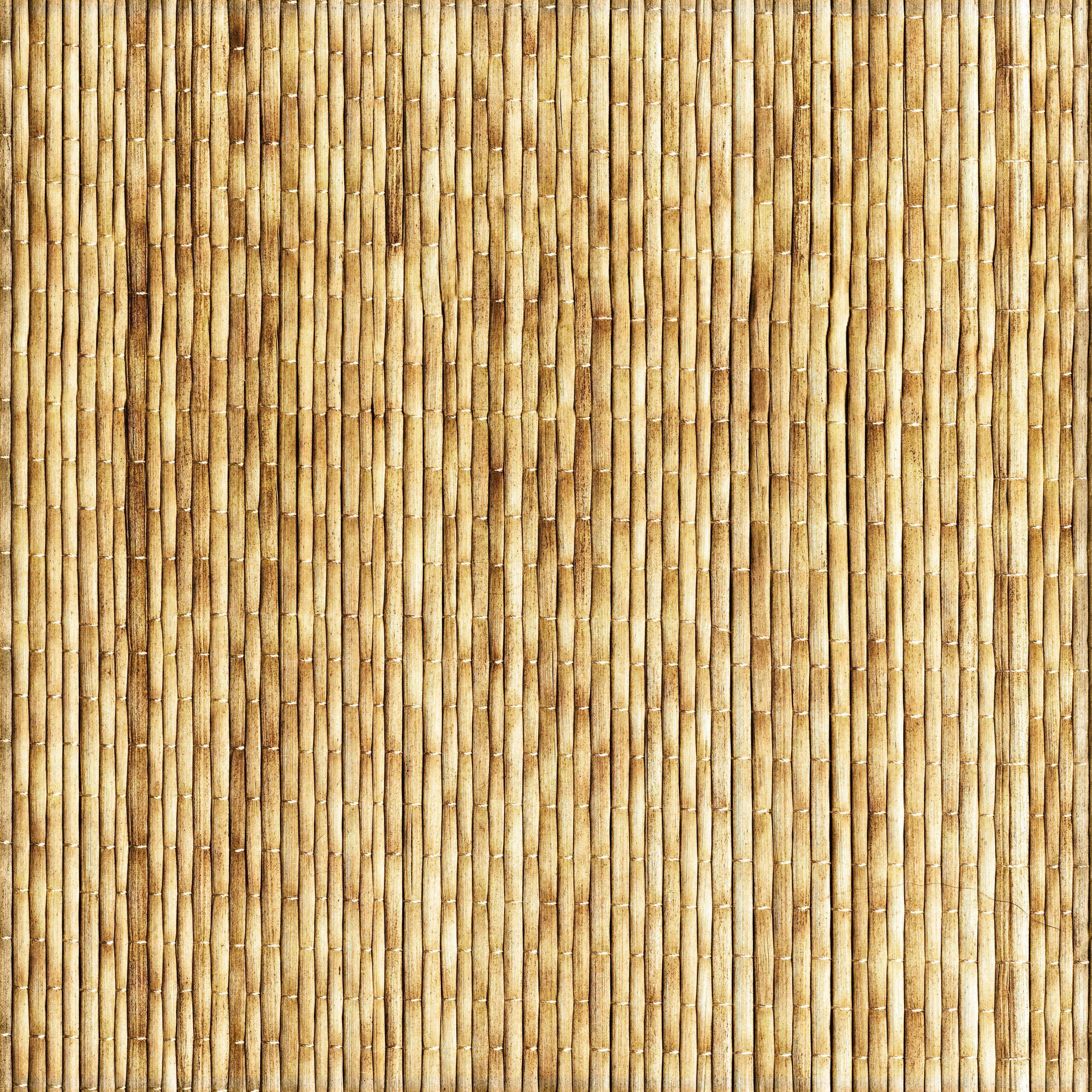 2788x2788 Bamboo wall .