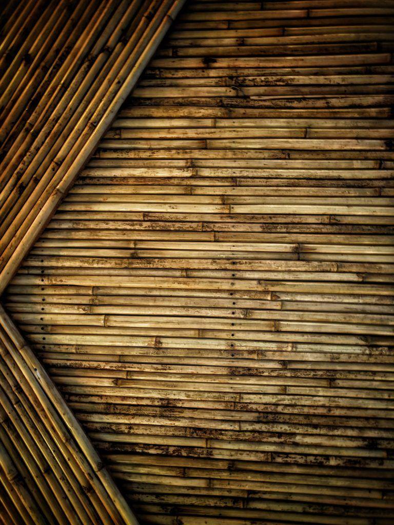 Bamboo Pattern Wallpapers Top Free Bamboo Pattern Backgrounds