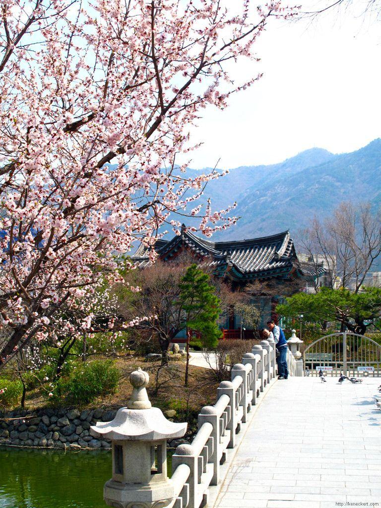  Daegu  Korean Wallpapers  Top Free Daegu  Korean 