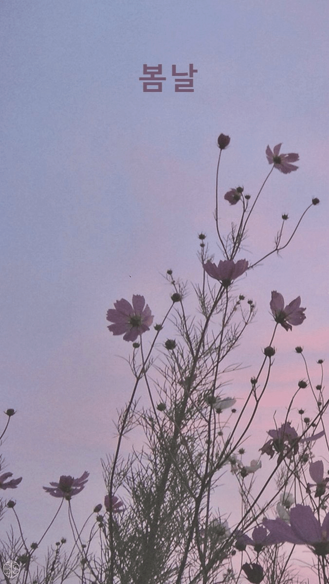 676x1200 BTS Wallpaper. Bts spring day wallpaper, Aesthetic desktop wallpaper, Aesthetic wallpaper