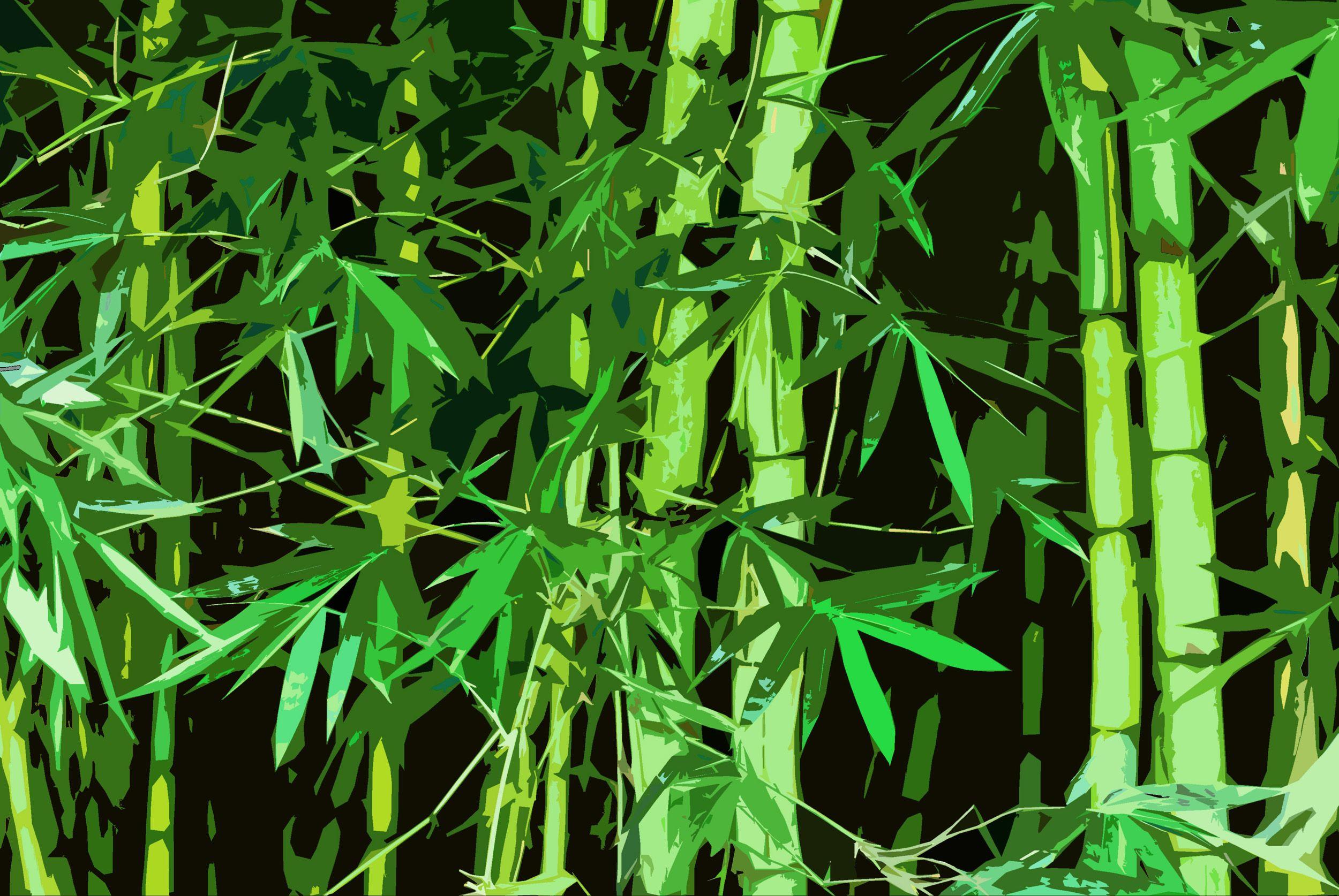 2500x1674 Free download Bamboo Wallpaper [2500x1674] for your Desktop, Mobile & Tablet. Explore Bamboo Pattern Wallpaper. Bamboo Wallpaper Wall Coverings, Bamboo Wallpaper for Walls, Wallpaper That Looks like Bamboo