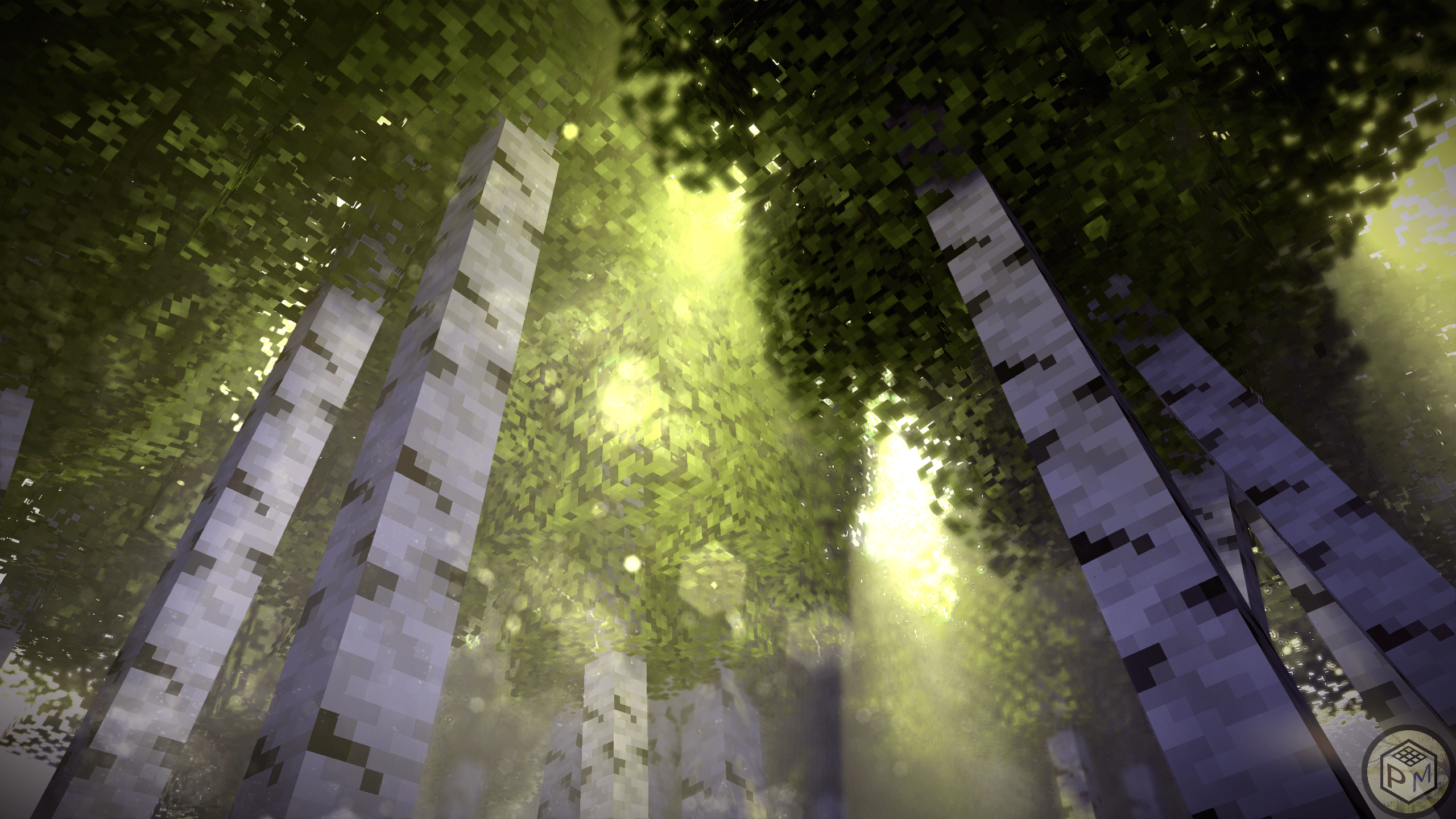 2560x1440 Birch Forest (2k) And Art Imator Forums