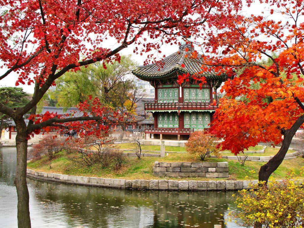 Korean Autumn Wallpapers - Top Free Korean Autumn Backgrounds