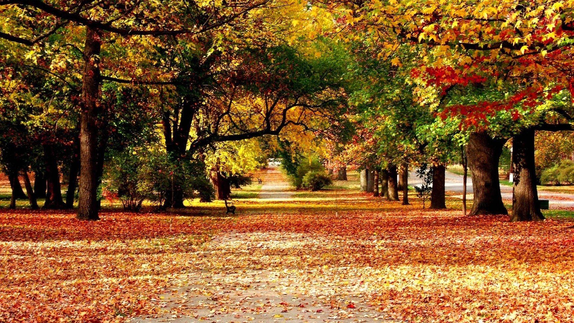 Korean Autumn Wallpapers - Top Free Korean Autumn Backgrounds