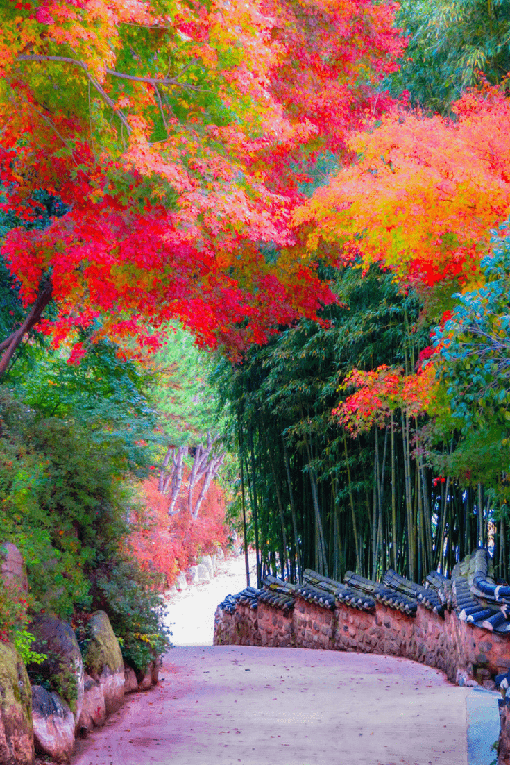 735x1102 What to do in South Korea: the 7 attractions you cannot miss. South korea travel, Korea travel, Korea wallpaper