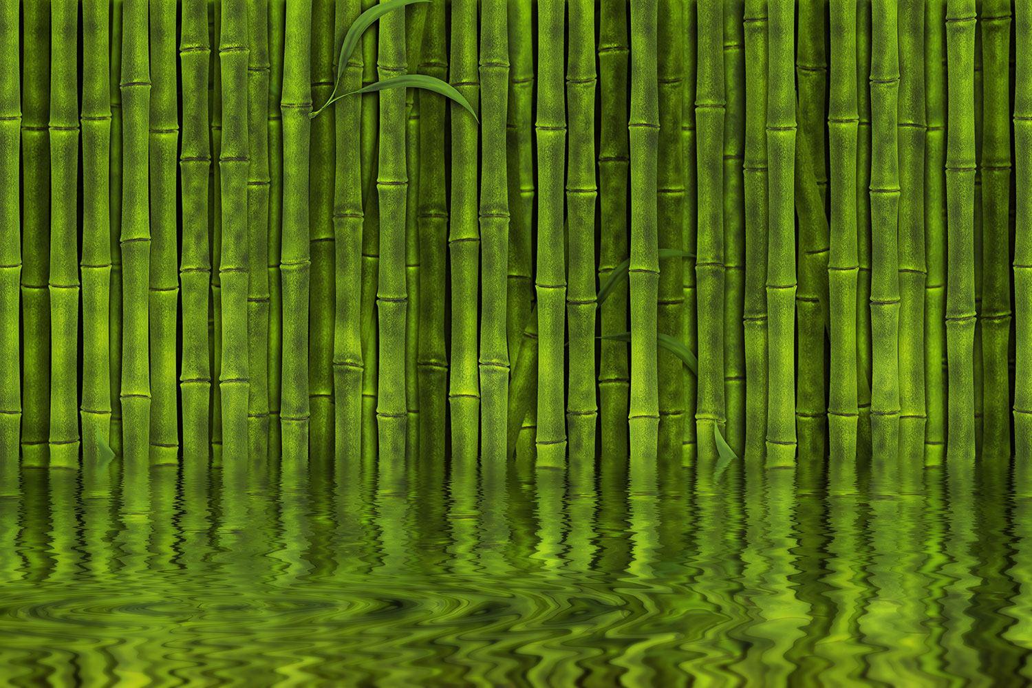 Bamboo Pattern Wallpapers - Top Free Bamboo Pattern Backgrounds