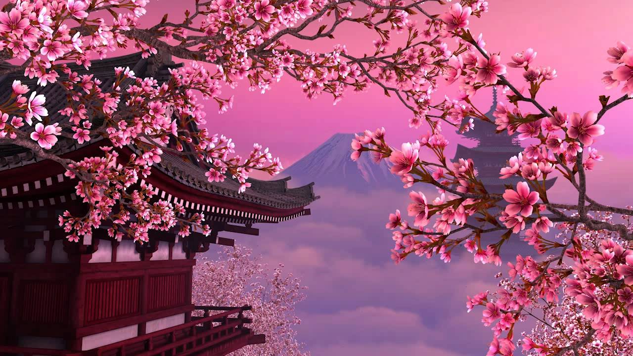 1280x720 Sakura wallpaper, Anime, HQ Sakura pictureK Wallpaper 2019