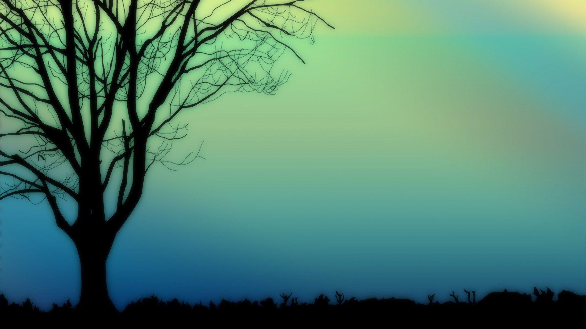 1920x1080 Hòa bình.  Hình bóng cây, Mac hình nền, Hình ảnh cây https://wallpaperaccess.com/full/3854868.jpg