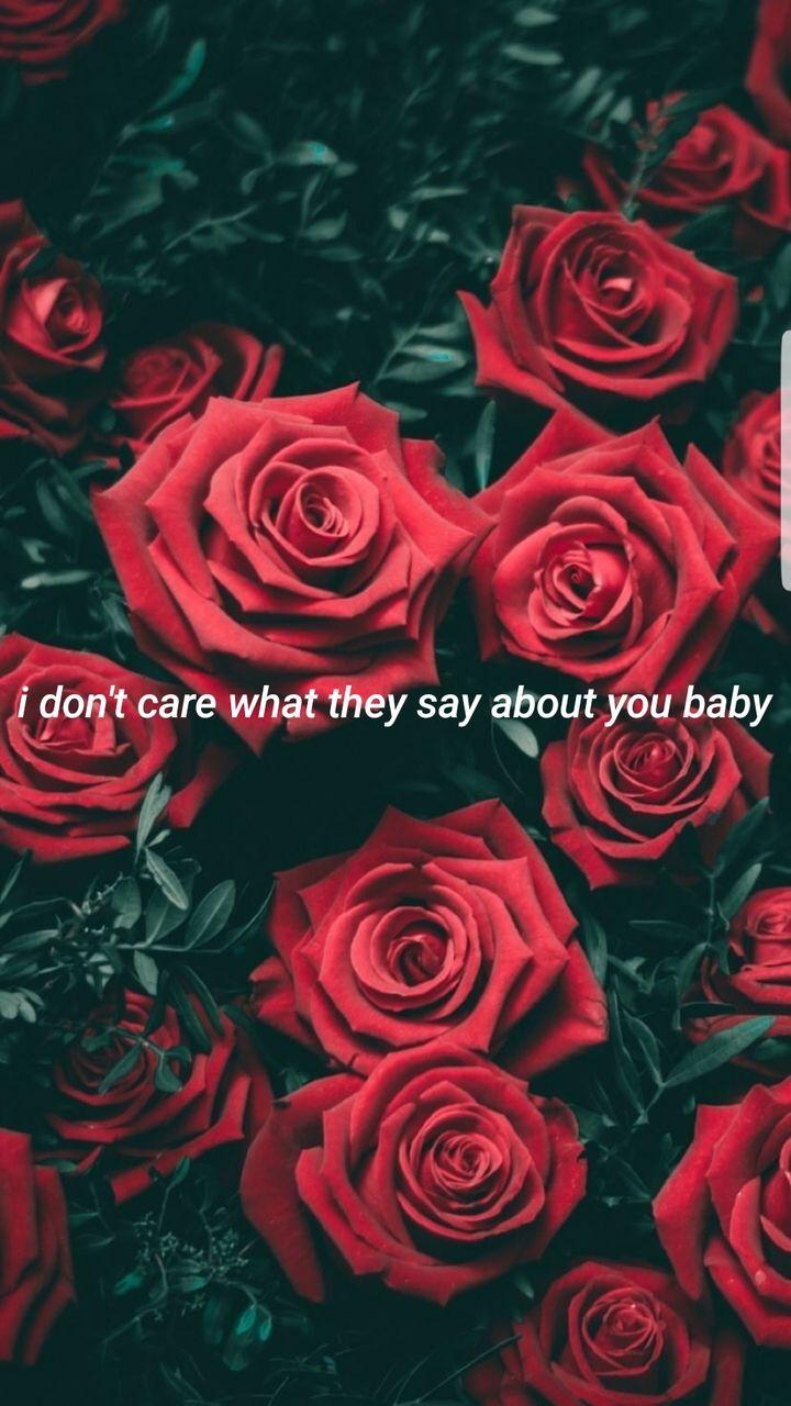 I Don't Care Wallpapers - Top Free I Don't Care Backgrounds ...