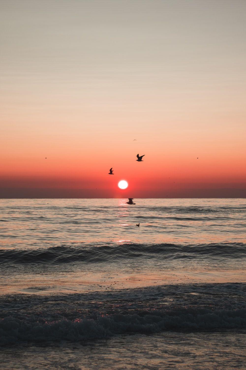 1000x1500 Sunset Wallpaper: Free HD Download [HQ]