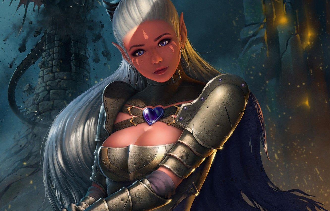 1332x850 Wallpaper look, girl, fantasy, elf, beauty, warrior, art, armor, Antalya image for desktop, section прочее