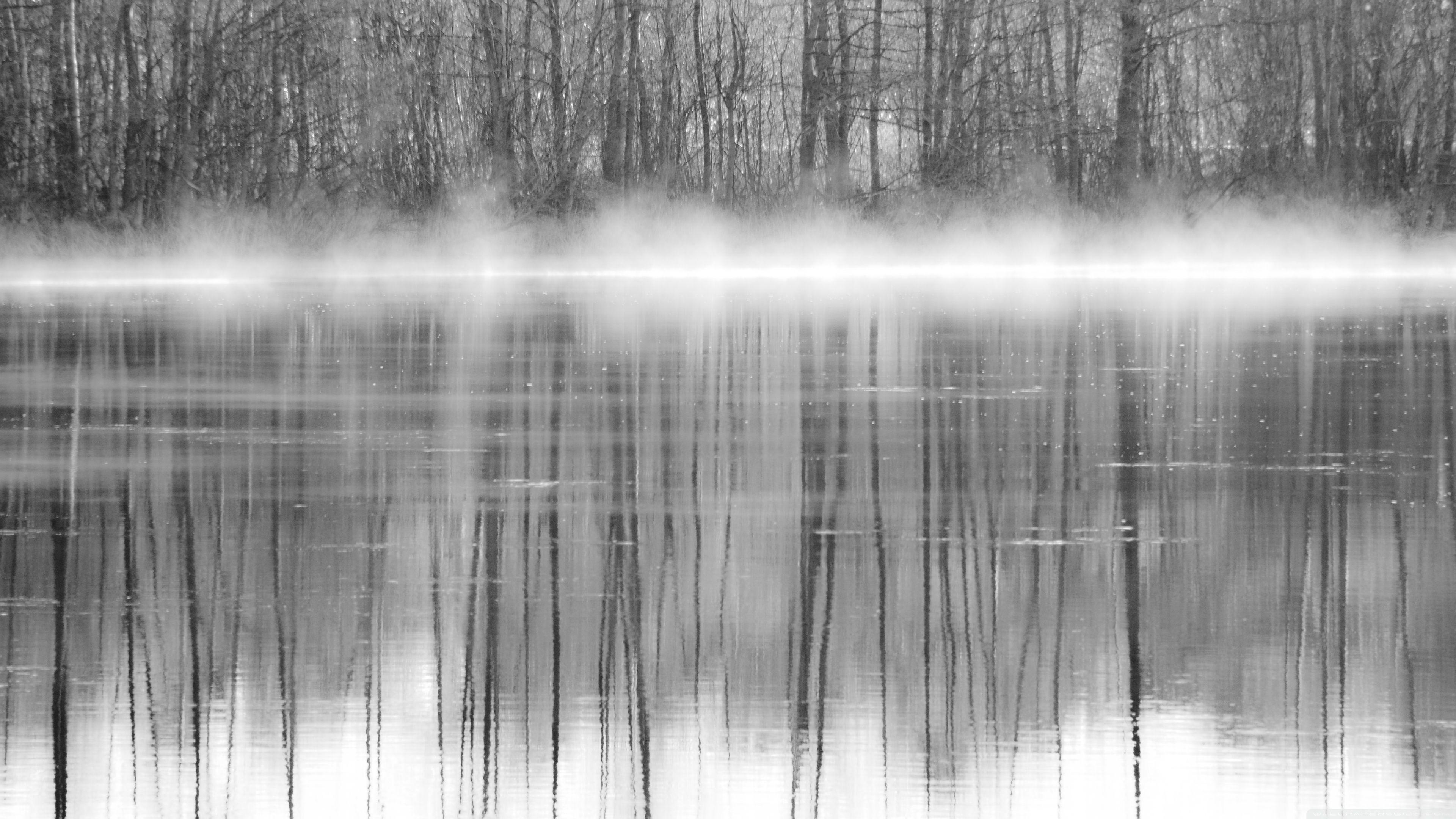 3840x2160 Trees Reflections In Water Black And White ❤ 4K HD Desktop