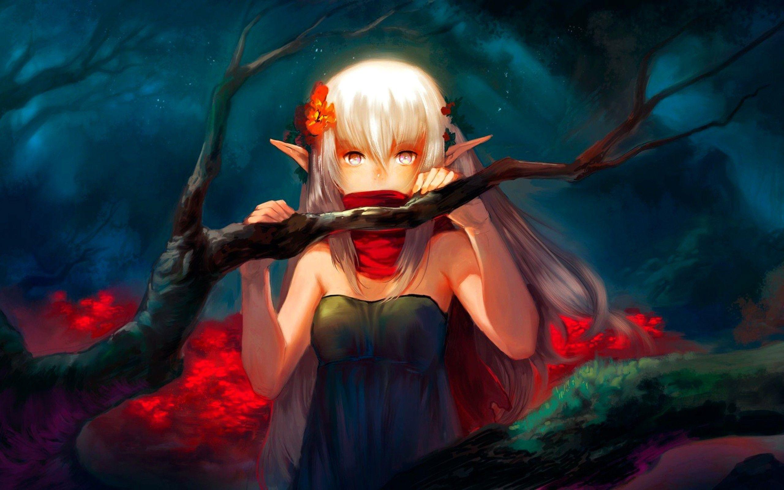 2560x1600 Anime Elf Wallpaper