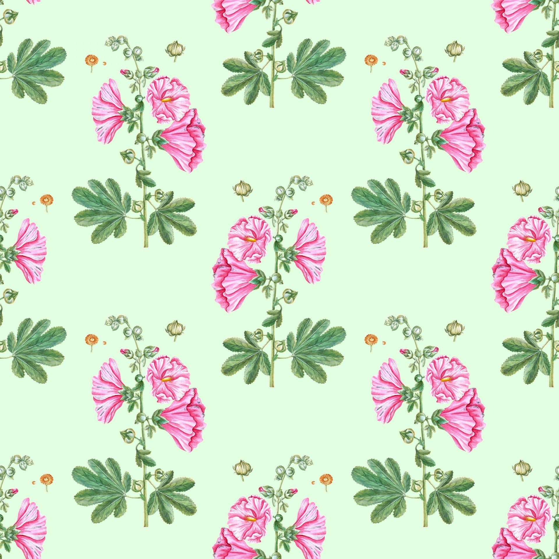 1920x1920 Pink Floral Wallpaper Watercolor Free Domain Picture