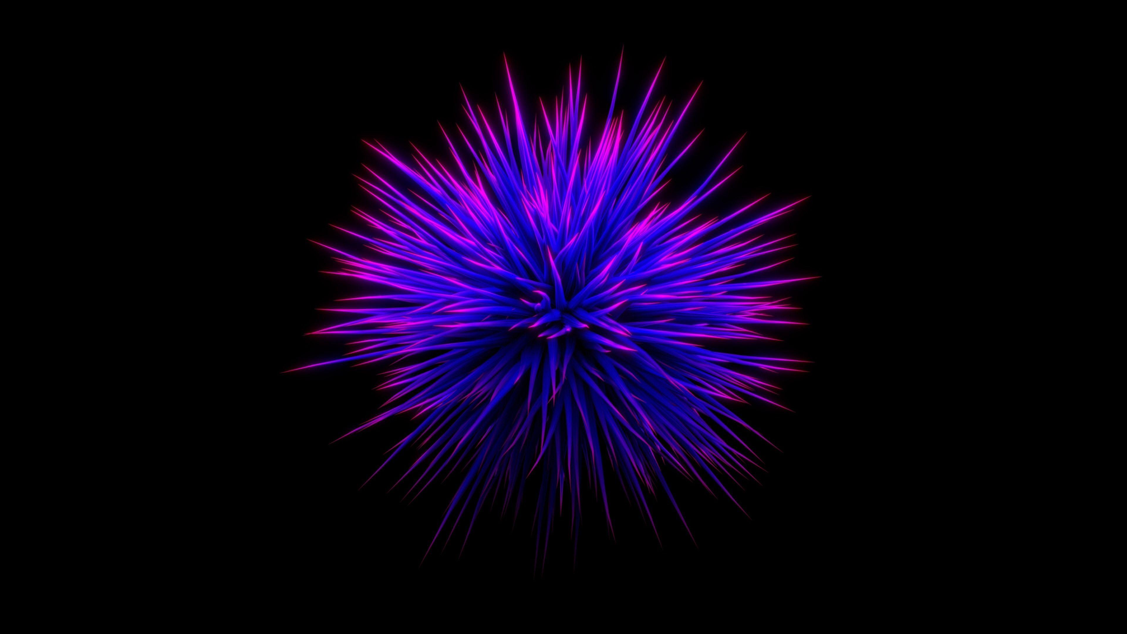 3840x2160 Wallpaper Purple flower, thorn, black background, abstract picture 3840x2160 UHD 4K Picture, Image