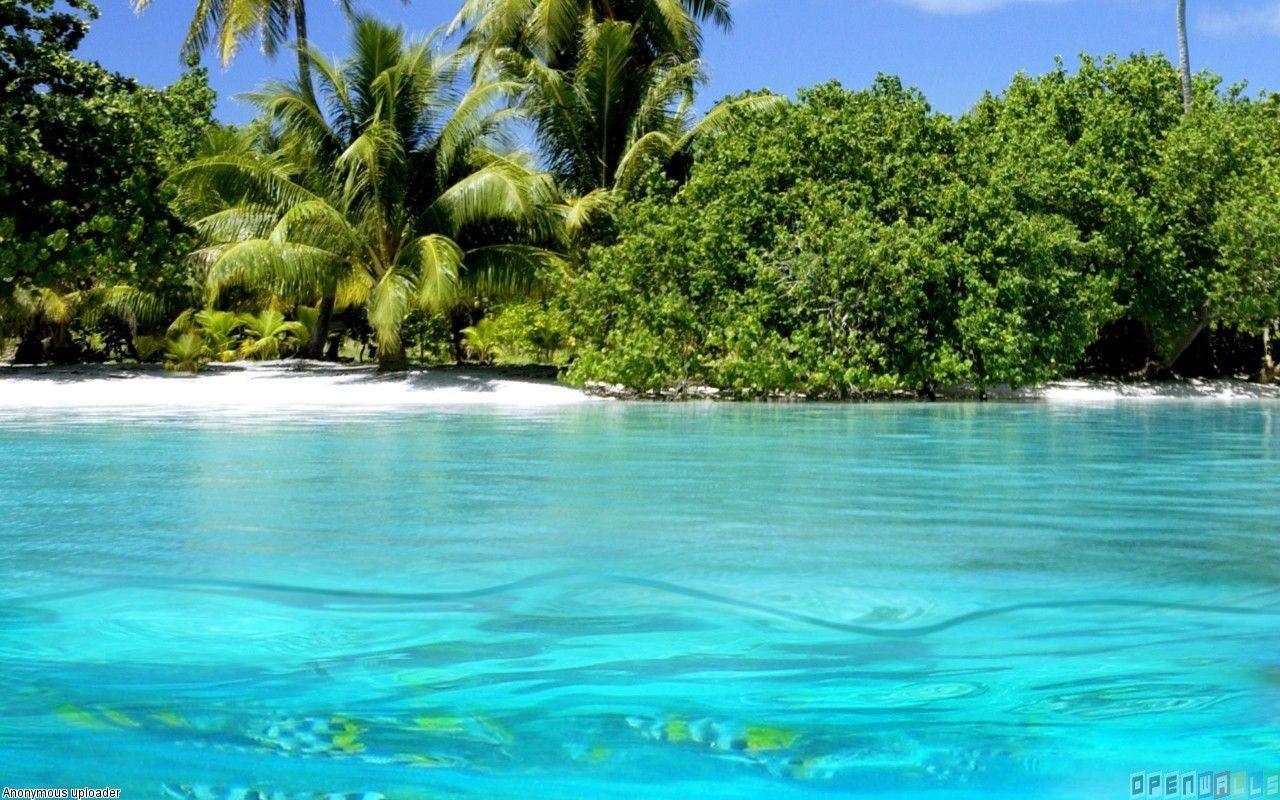 1280x800 Puerto Rico Beach Wallpaper High Definition Free Download > SubWallpaper