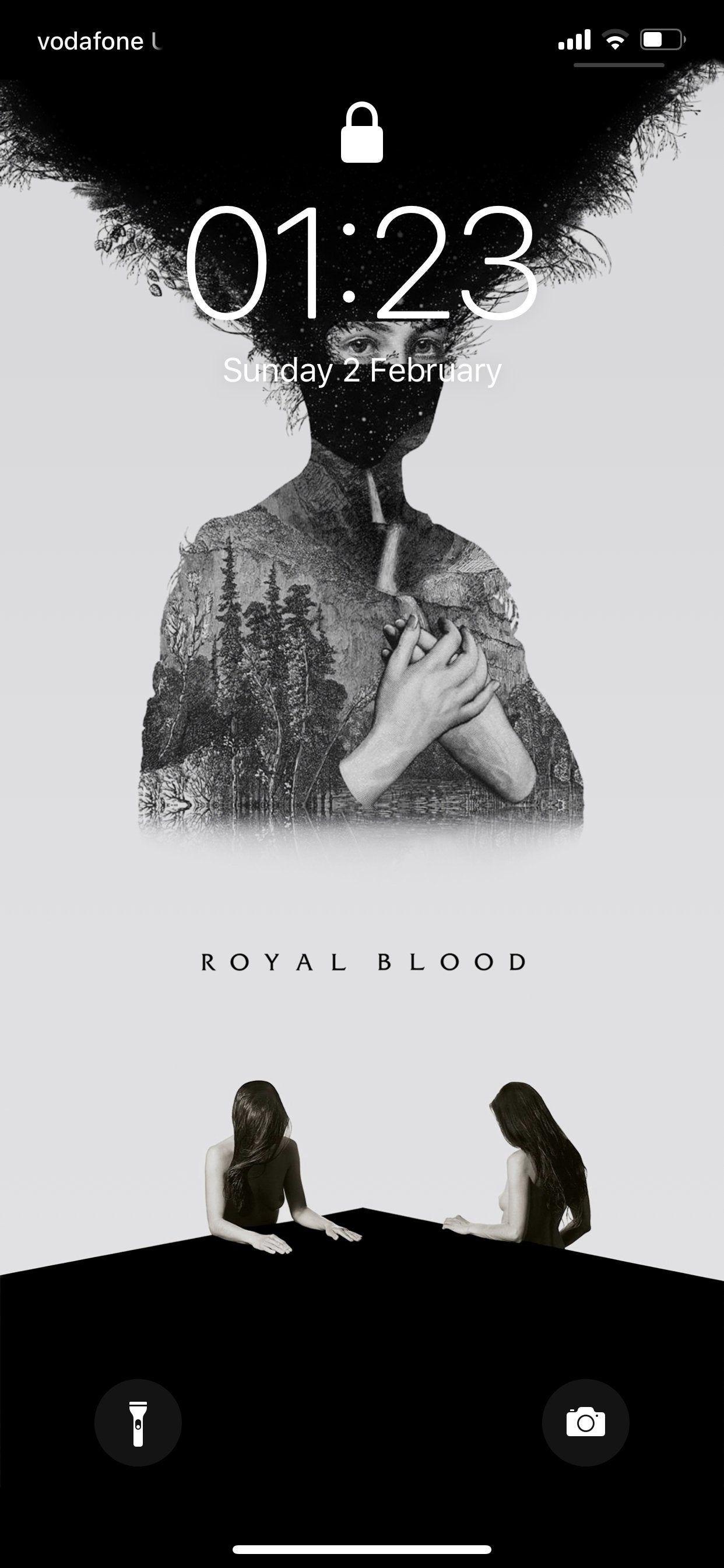 1242x2688 I made a Royal Blood album cover wallpaper for my iPhone 11 Pro Max that hides the notch (download in comments) : Royal_Blood