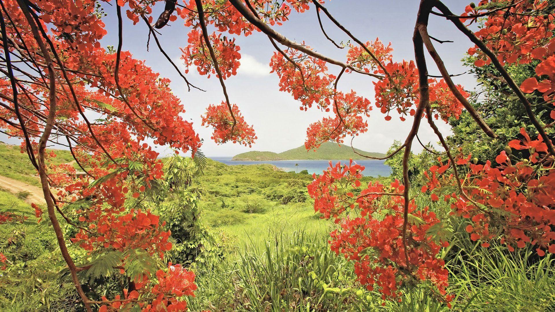 1920x1080 Free download HD Puerto Rico Background [1920x1080] for your Desktop, Mobile & Tablet. Explore Wallpaper Of Puerto Rico. Puerto Rico Wallpaper 3D, Free Puerto Rico Wallpaper Downloads, Playas de