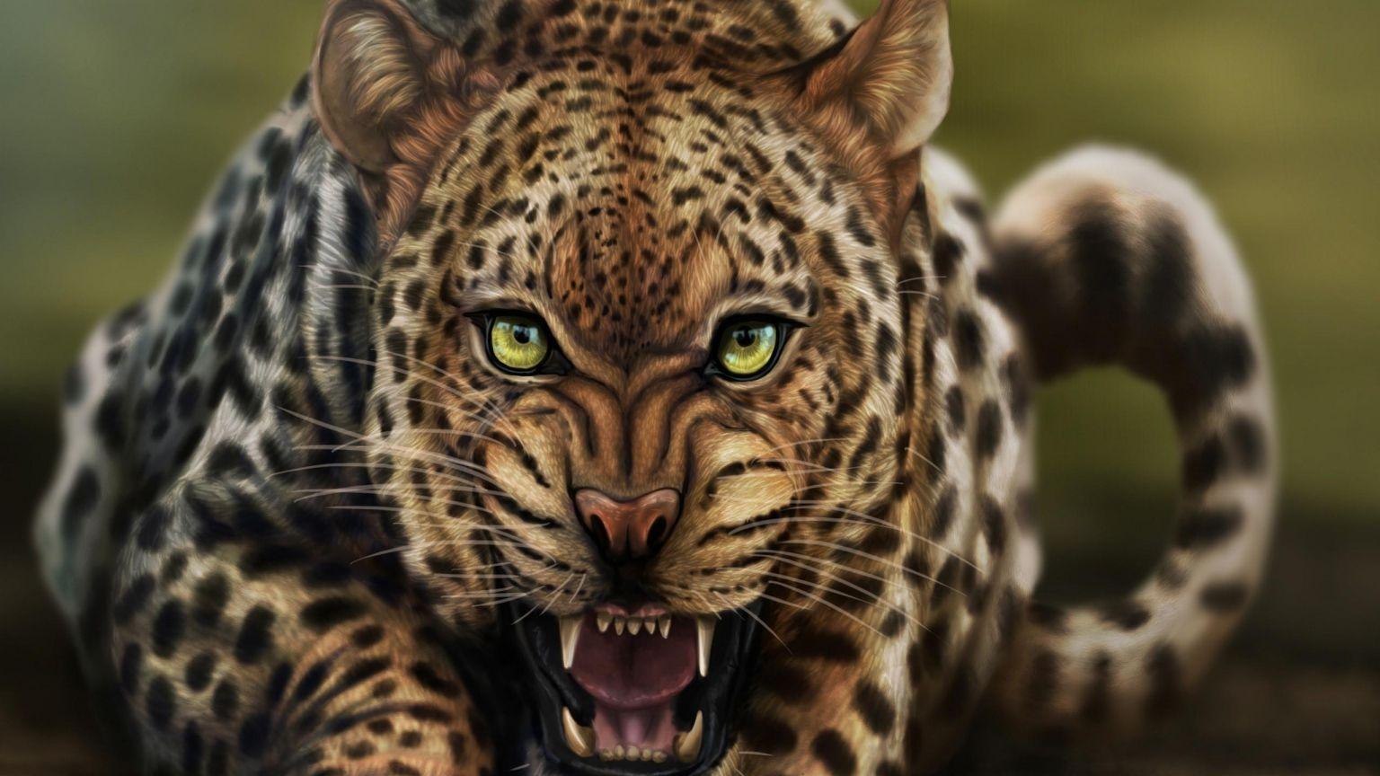 1536x864 Free download ME82 Cute Leopard Sleeping Wallpaper Cute Leopard [2560x1600] for your Desktop, Mobile & Tablet. Explore Cute Cheetah Wallpaper. Cute Cheetah Wallpaper, Cute Cheetah Print Wallpaper, Cheetah Wallpaper